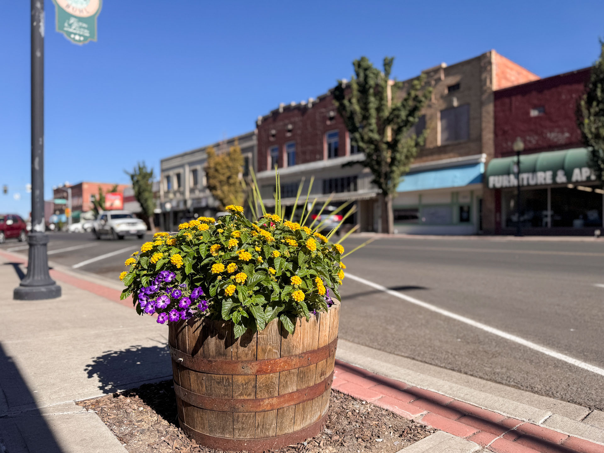 A wooden barrel planter filled with yellow and purple flowers sits on a sidewalk along a quiet small-town street, with shops and trees lining the road under a clear blue sky.