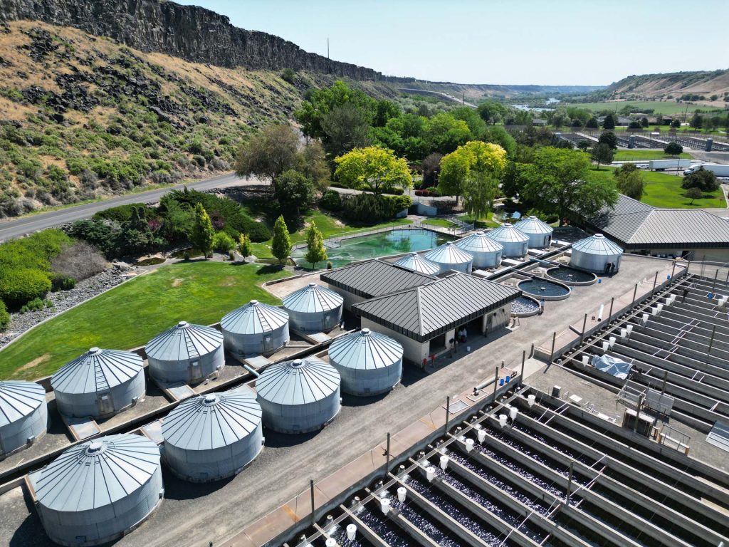 Aerial view of Riverence trout facility near Buhl, ID